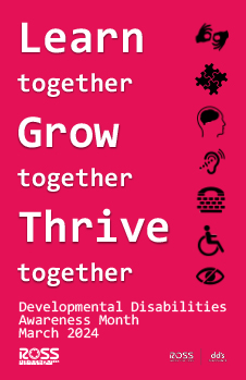 National disabilities poster